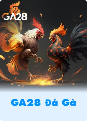 GA28 Đá Gà